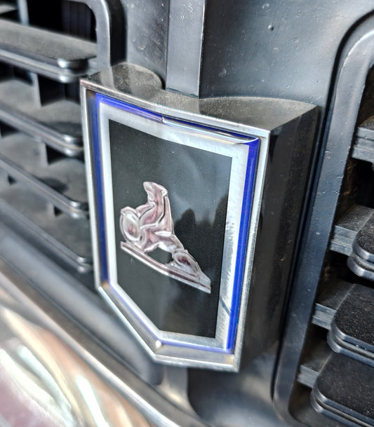 Holden GMH HK HT HG SS Kingswood Belmont GTS  Grille Emblem UV Coated Badge Insert Ute Wagon Van Sedan